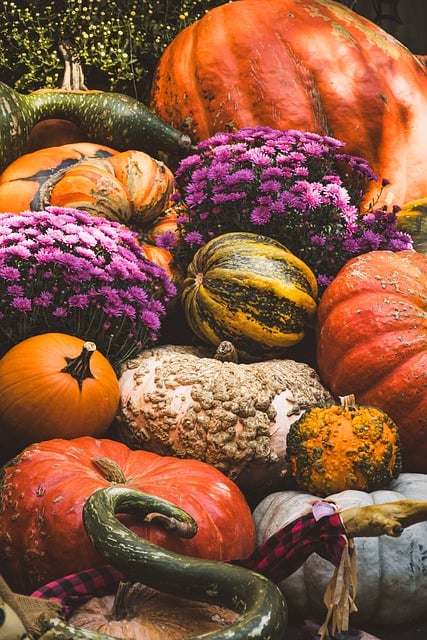 Pumpkins and gourds